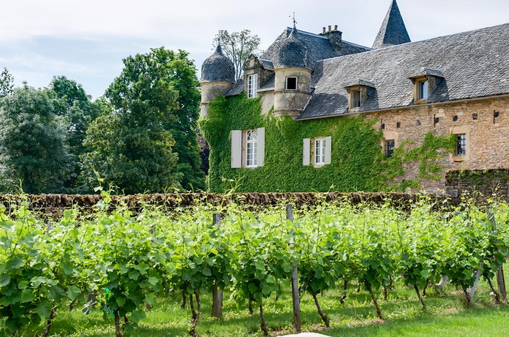 Chateau De Labro - Teritoria Onet-le-Château 外观 照片